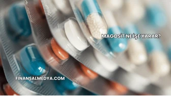 Magosit Ne İşe Yarar?