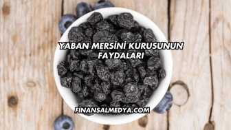 Yaban Mersini Kurusunun Faydaları