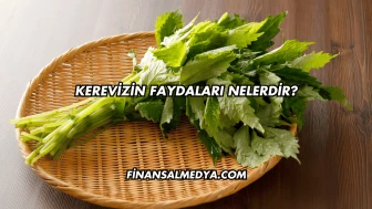 Kerevizin Faydaları Nelerdir?
