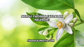 Neroli Yağının Faydaları Nelerdir?