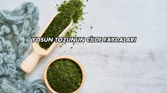 Yosun Tozunun Cilde Faydaları