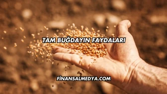 Tam Buğdayın Faydaları