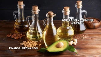 Avokado Yağı Ne İşe Yarar?