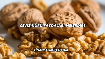 Ceviz Kürü Faydaları Nelerdir?