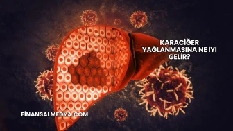 Karaciğer Yağlanmasına Ne İyi Gelir?