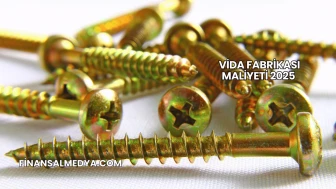 Vida Fabrikası Maliyeti 2025