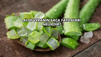 Aloe Veranın Saça Faydaları Nelerdir?