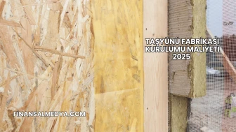 Taşyünü Fabrikası Kurulumu Maliyeti 2025