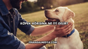 Köpek Ağrısına Ne İyi Gelir?