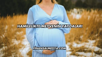 Hamilelikte Meyvenin Faydaları