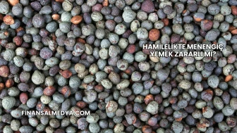 Hamilelikte Menengiç Yemek Zararlı mı?