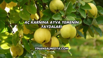 Aç Karnına Ayva Yemenin Faydaları