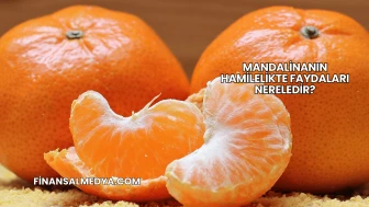 Mandalinanın Hamilelikte Faydaları Nereledir?