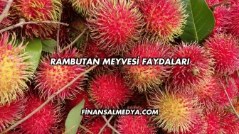 Rambutan Meyvesi Faydaları