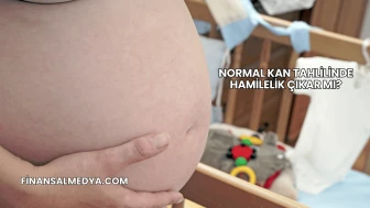 Normal Kan Tahlilinde Hamilelik Çıkar mı?