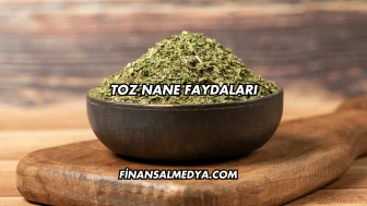 Toz Nane Faydaları