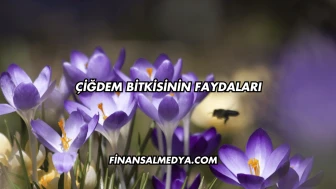 Çiğdem Bitkisinin Faydaları
