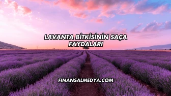 Lavanta Bitkisinin Saça Faydaları