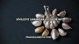 Sivilceye Sarımsak İyi Gelir mi?