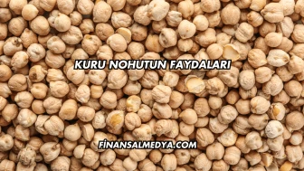 Kuru Nohutun Faydaları