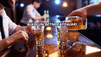 Alkolün Beyne Faydaları