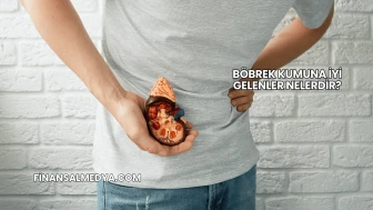 Böbrek Kumuna İyi Gelenler Nelerdir?