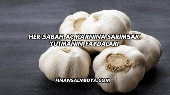 Her Sabah Aç Karnına Sarımsak Yutmanın Faydaları