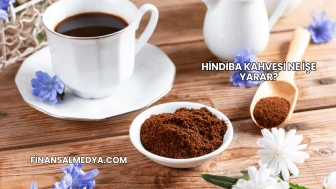Hindiba Kahvesi Ne İşe Yarar?