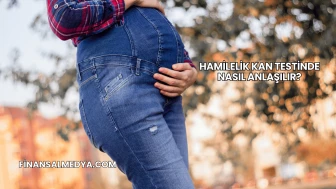 Hamilelik Kan Testinde Nasıl Anlaşılır?