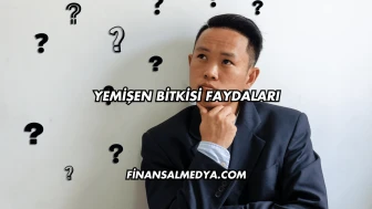 Yemişen Bitkisi Faydaları
