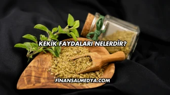 Kekik Faydaları Nelerdir?