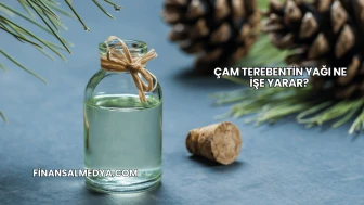 Çam Terebentin Yağı Ne İşe Yarar?