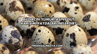 Bıldırcın Yumurtası ve Süt Karışımı Faydaları Nelerdir?