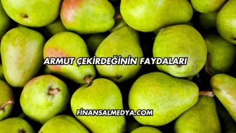 Armut Çekirdeğinin Faydaları