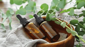 Okaliptus Yağı Ne İşe Yarar?