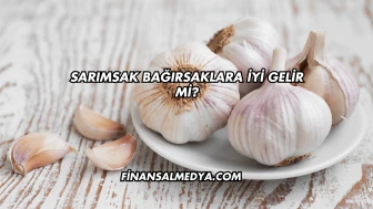 Sarımsak Bağırsaklara İyi Gelir mi?