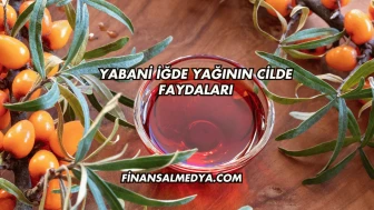 Yabani İğde Yağının Cilde Faydaları
