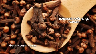 Karanfil Yağı Ne İşe Yarar?