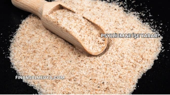 Psyllium Ne İşe Yarar?