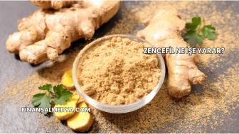 Zencefil Ne İşe Yarar?