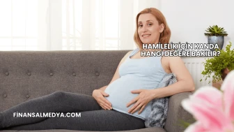Hamilelik İçin Kanda Hangi Değere Bakılır?