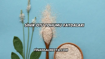 Sinir Otu Tohumu Faydaları