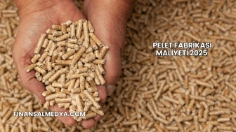 Pelet Fabrikası Maliyeti 2025