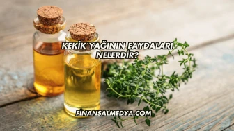 Kekik Yağının Faydaları Nelerdir?