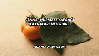 Cennet Hurması Yaprağı Faydaları Nelerdir?