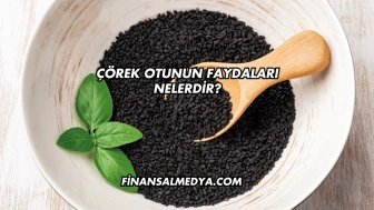 Çörek Otunun Faydaları Nelerdir?