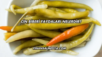 Cin Biberi Faydaları Nelerdir?