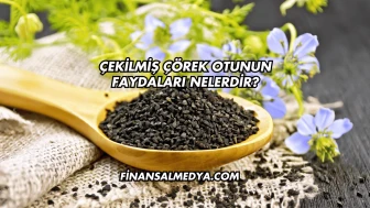 Çekilmiş Çörek Otunun Faydaları Nelerdir?