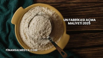 Un Fabrikası Açma Maliyeti 2025