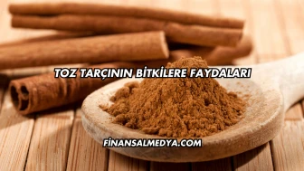 Toz Tarçının Bitkilere Faydaları
